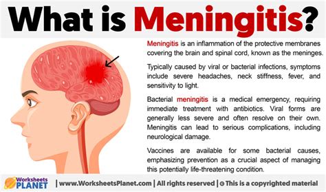 meningitis definition in spanish